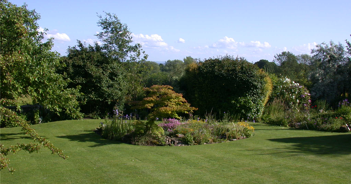 Lebendig Grün einen Rasen anlegen und pflegen Stanze Gartencenter
