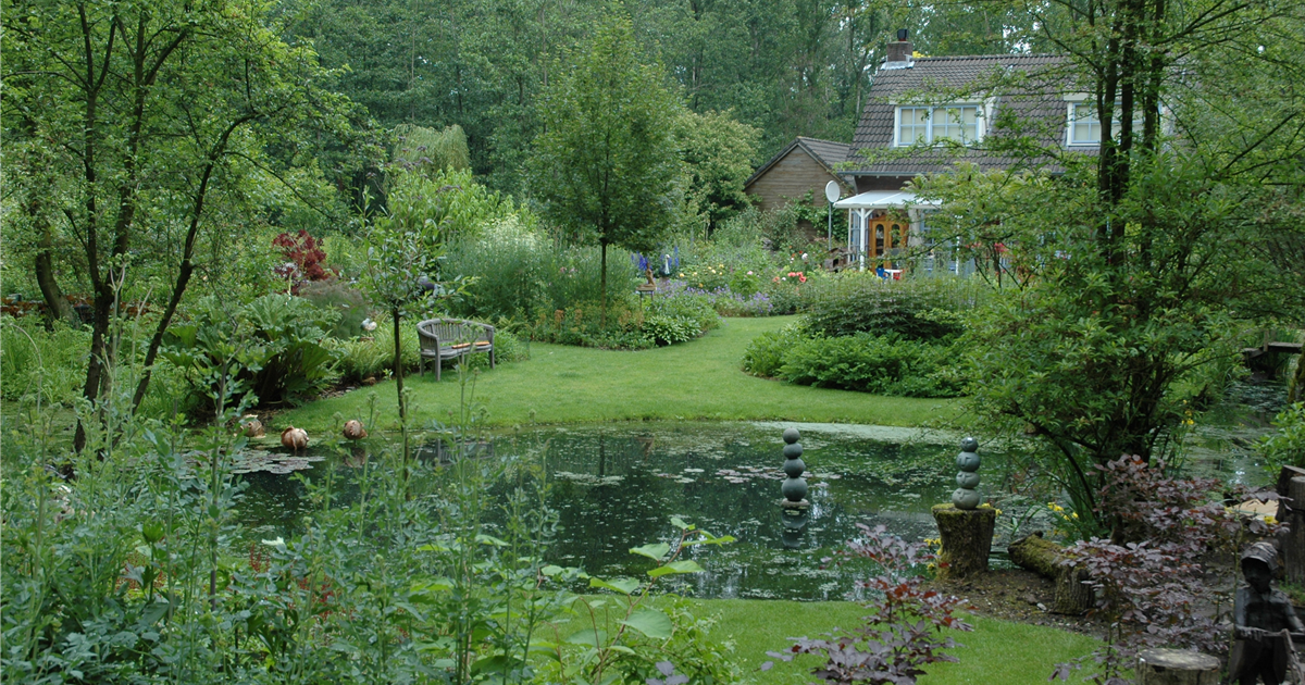 Ruhepol im Garten Einen Gartenteich anlegen Stanze Gartencenter in