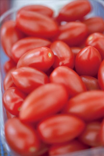 Solanum lycopersicum 'San Marzano'
