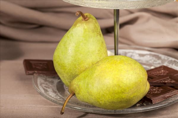Pyrus communis 'Köstliche von Charneux'