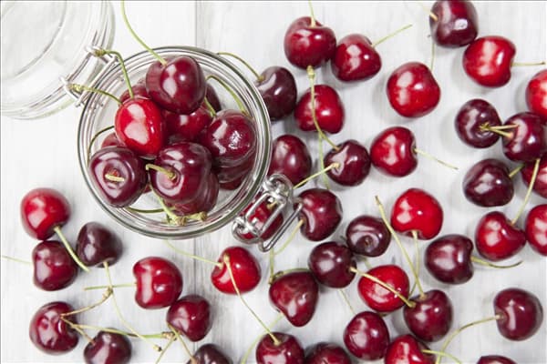 Prunus avium