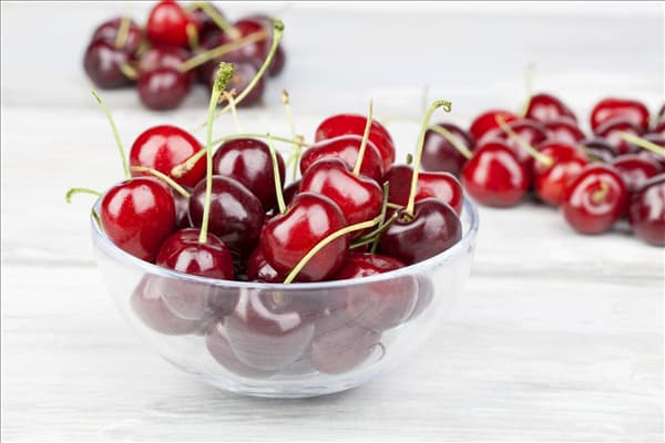 Prunus avium