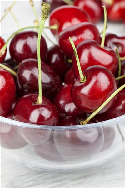 Prunus avium