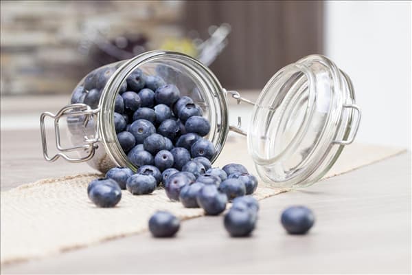 Vaccinium myrtillus