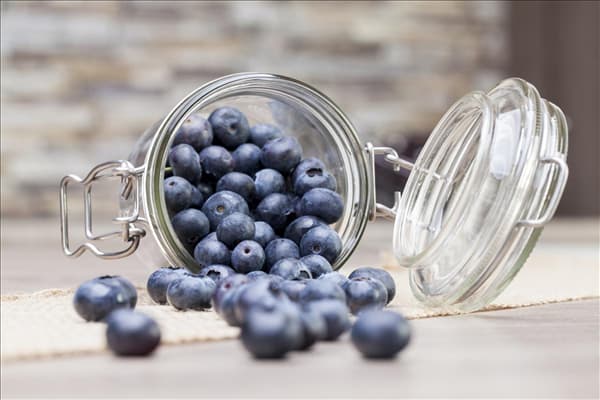 Vaccinium myrtillus