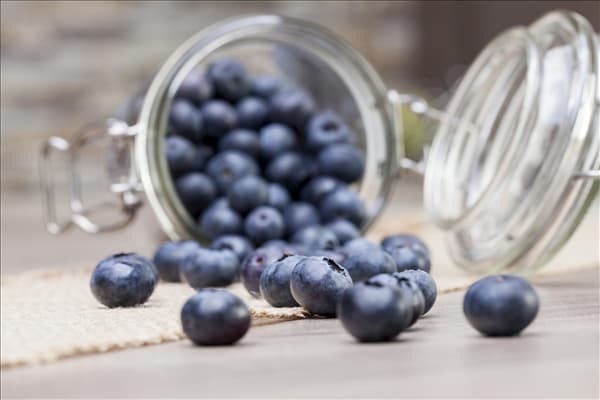 Vaccinium myrtillus