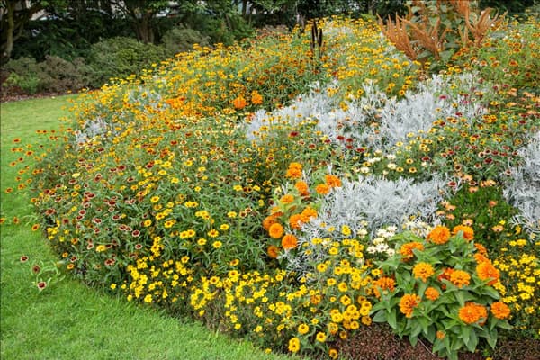 Blumenbeet mit Sommerblumen