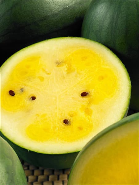 Citrullus lanatus Kawon Arbuz Janosik