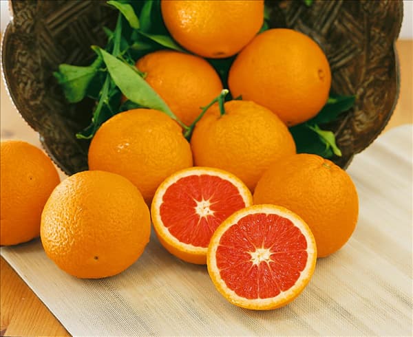 Orange / Citrus sinensis Cara-Cara