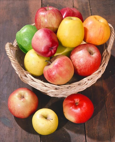 Äpfel Mischung