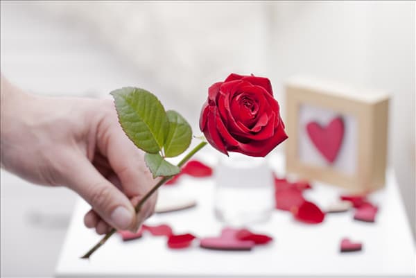 Rosa