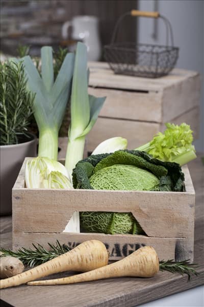 Brassica oleracea var. capitata var. sabauda
