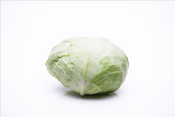 Brassica oleracea var. capitata