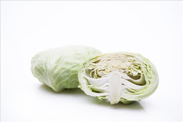 Brassica oleracea var. capitata f. alba