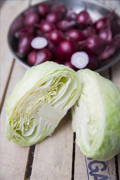 Brassica oleracea var. capitata f. alba