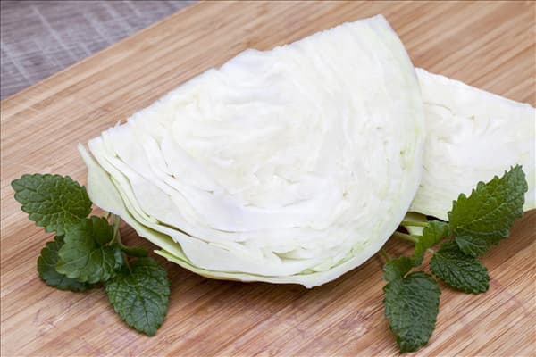 Brassica oleracea var. capitata f. alba