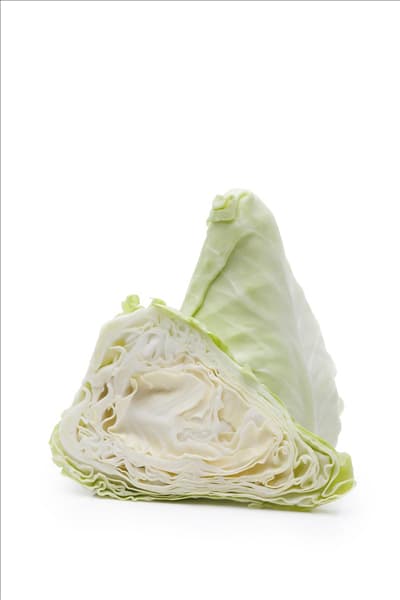 Brassica oleracea var. capitata f. alba