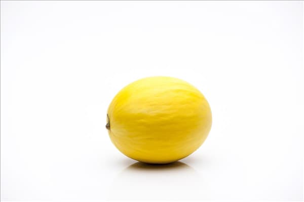 Cucumis melo