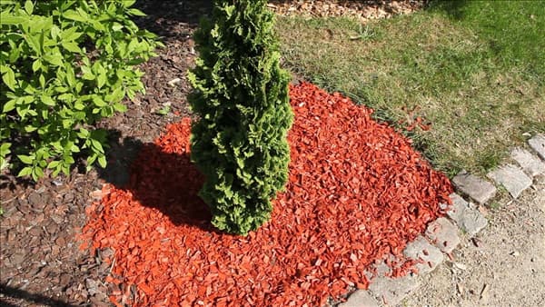 Mulch - Einsatz im Garten (thumbnail)
