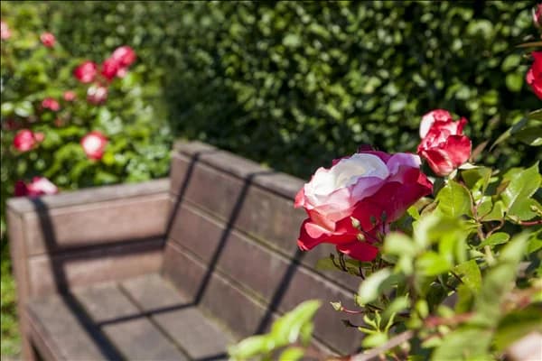 Rosengarten