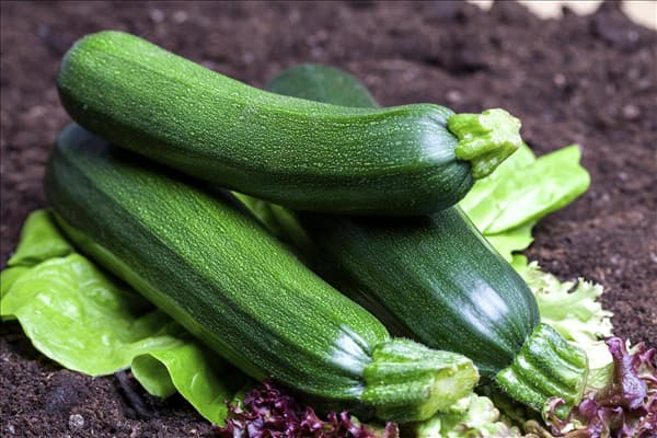 Cucurbita pepo subsp. pepo convar. giromontiina