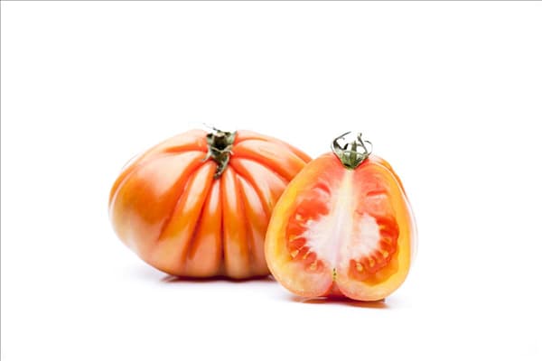 Solanum lycopersicum