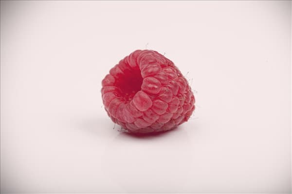 Rubus idaeus