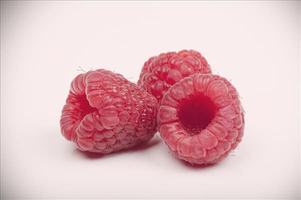 Rubus idaeus