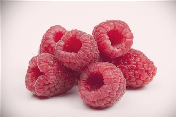 Rubus idaeus