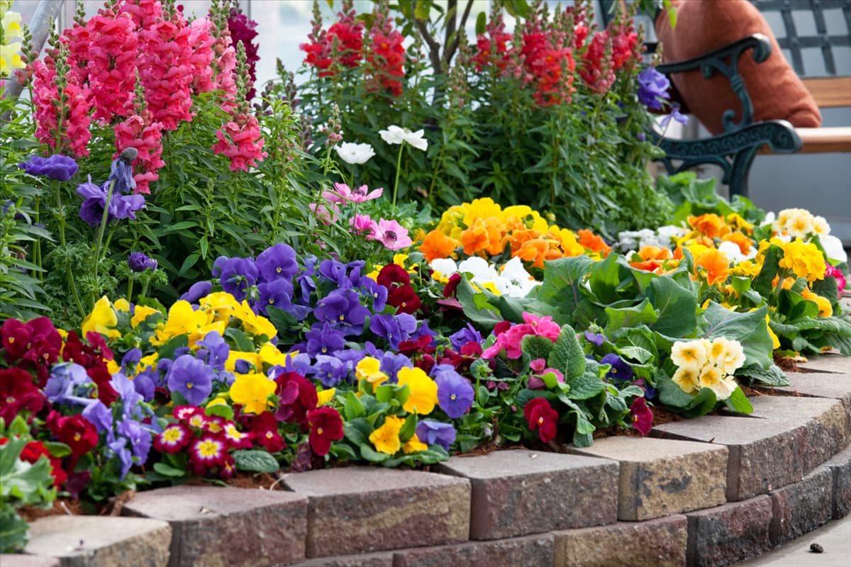 Blumenbeet mit Sommerblumen