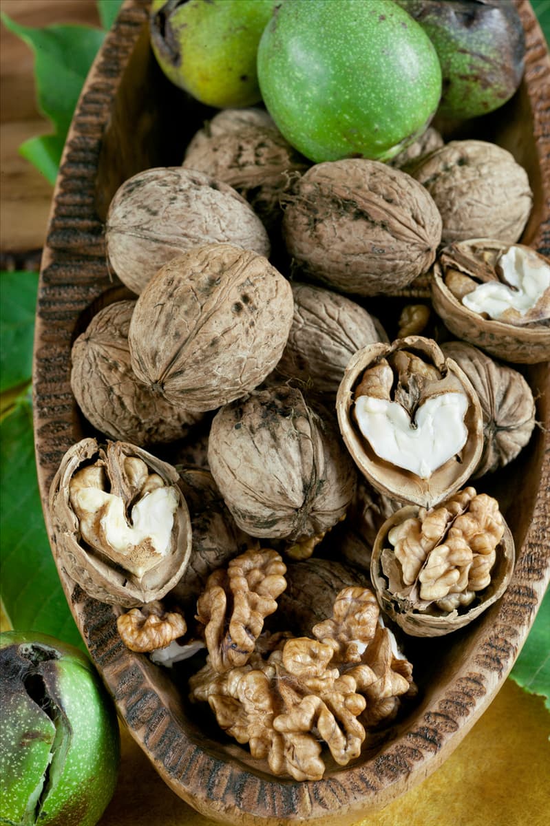 Juglans regia subsp. regia Mars