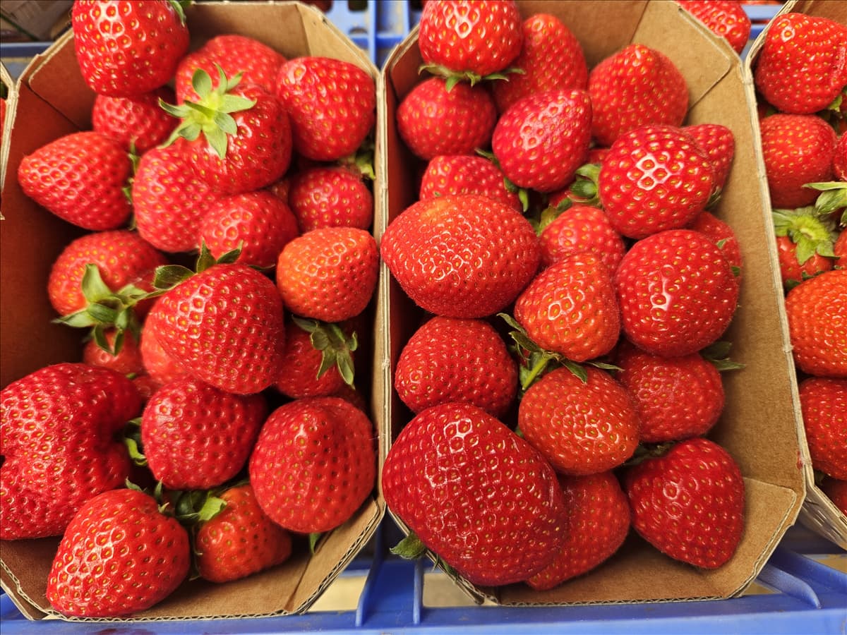Erdbeeren.jpg