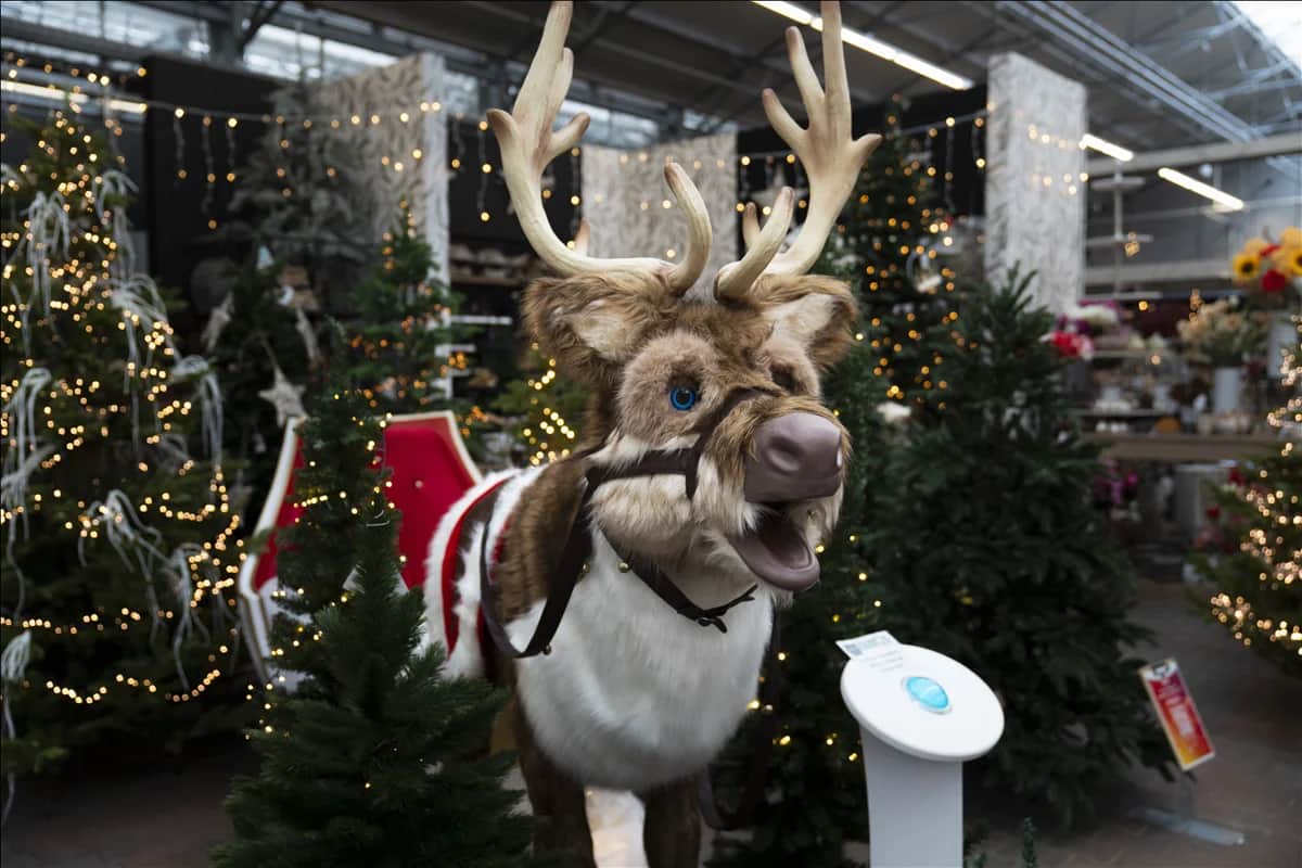 Weihnachtswelten