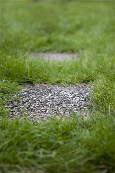 Wege im Garten