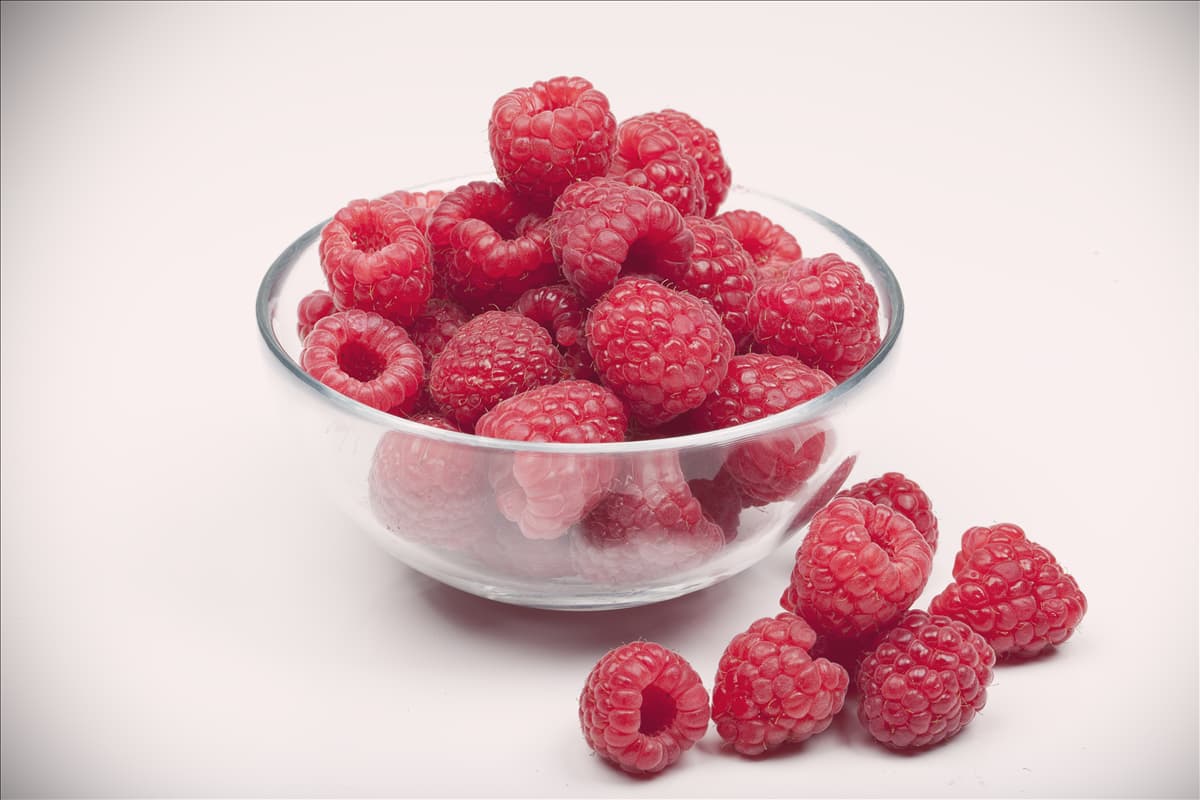 Rubus idaeus