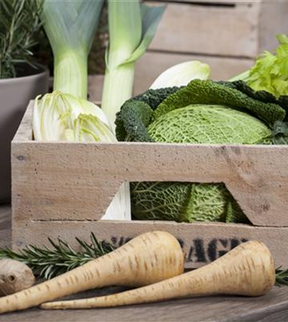 Das große Comeback der alten Gemüse-Sorten!