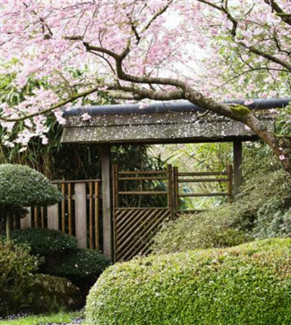 Ruhe und Erholung im japanischen Garten