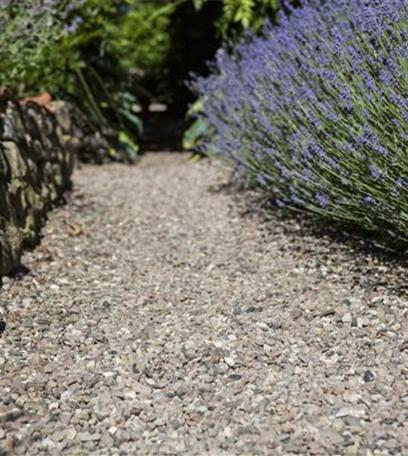 Von Artischocke bis Zucchini: alles für den Bauerngarten