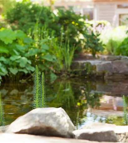Findlinge im Garten - Sitzgelegenheit, Wasserfall oder Dekoelement