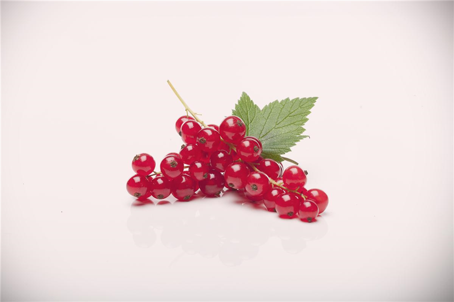 Johannisbeere 'Rovada' Johannisbeere 'Rovada'