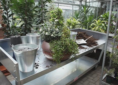 Blumenkübel - Dauerhafte Bepflanzung Blumenkübel - Dauerhafte Bepflanzung