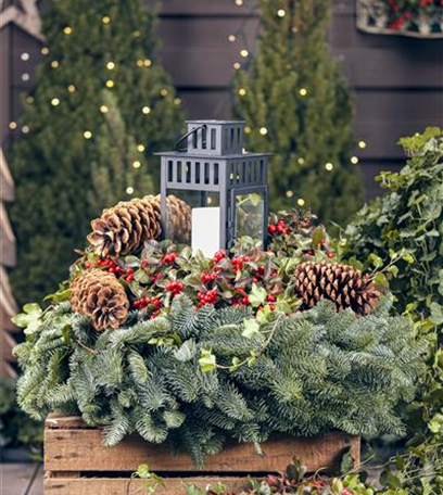 Advent, ein Lichtlein brennt – einen Adventskranz basteln