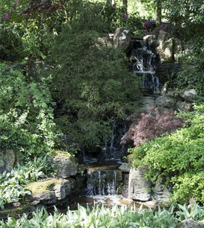 Der japanische Garten – Harmonie im Einklang mit der Natur