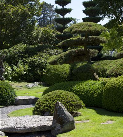 Der japanische Garten – Harmonie im Einklang mit der Natur