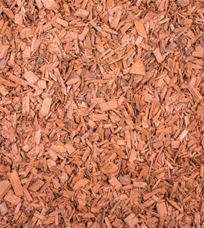 Sommerblumen düngen – Wachstumsschub für Sonnenanbeter