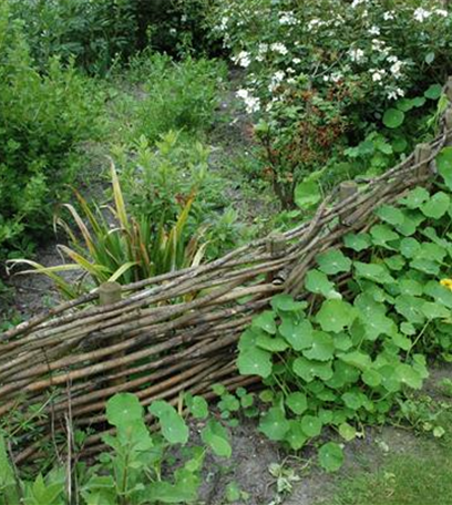 Auf Biegen und Brechen: Einen Weidenzaun bauen