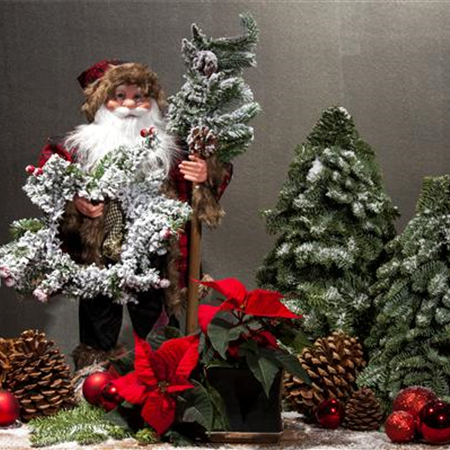 Trends für Adventsgestecke