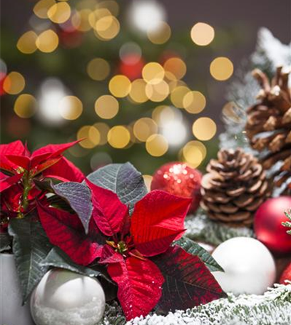 Trends für Adventsgestecke