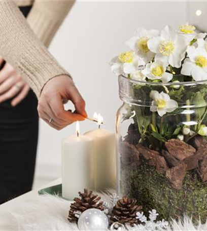 Christrosen als winterliche Tisch-Dekoration