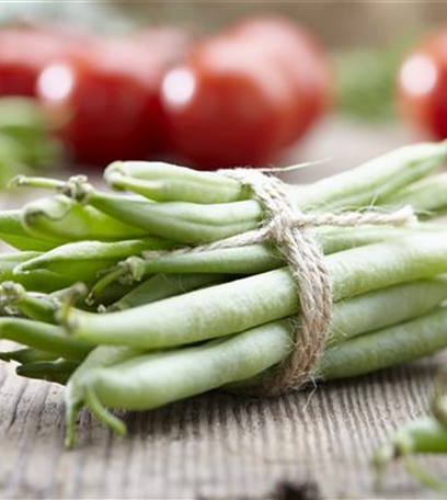 Gemüse aus eigenem Anbau